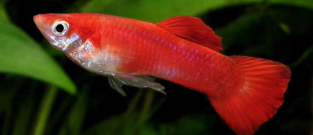 安全无后顾之忧的骚扰神器24小时轰炸免费